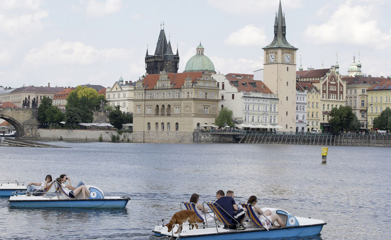 Пражани окривили Земана и Си Ђинпинга за убиство два лабуда на Влтави