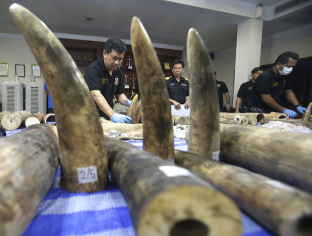 Тајланд запленио слоновачу вредну 800.000 долара