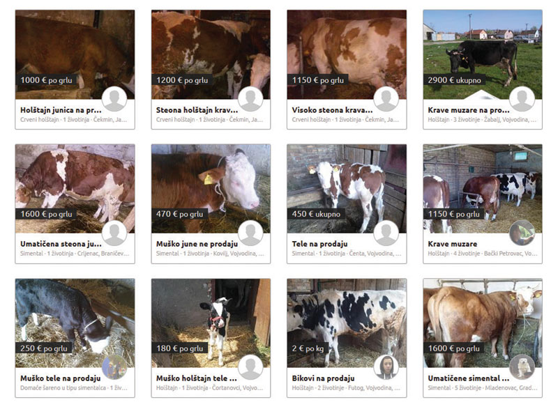 Сточне пијаце прешле на интернет