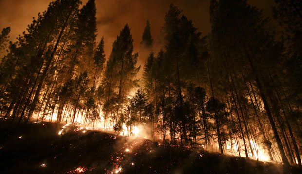 Србима запаљена шума