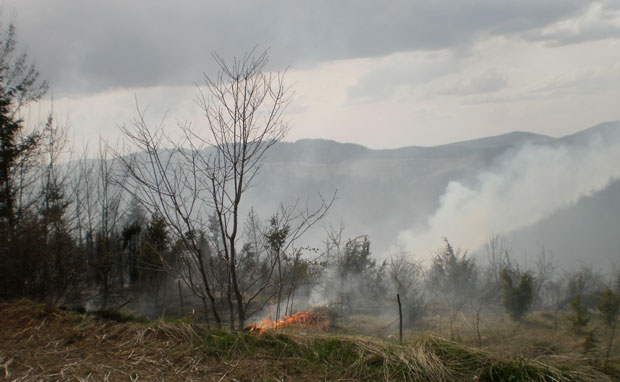 Гори шума на Златарском језеру