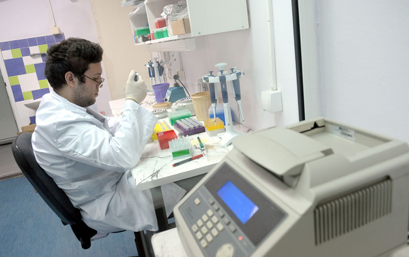 Уз ДНК знамо све одговоре