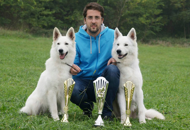 Отроване две расне керуше, интернационалне шампионке, умрле у мукама на рукама власника!
