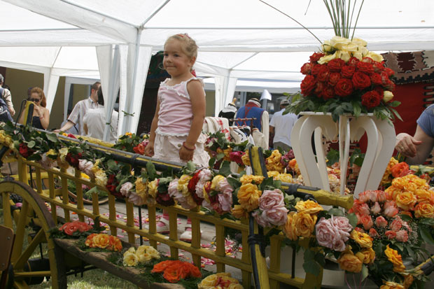 Шабац: Лауреат и Фестивал ружа