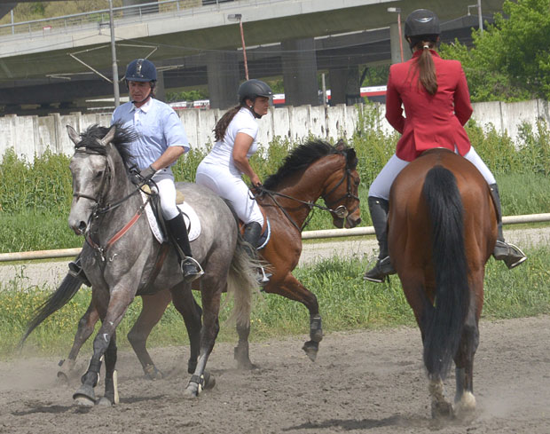 Хиподром: Коњи јуре ка трофејима 94. сезону