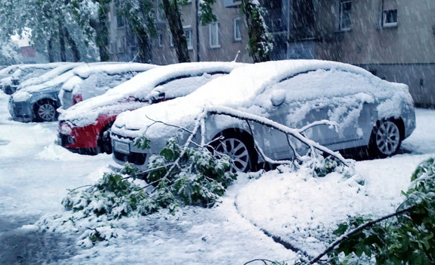 Словенија под априлским снегом
