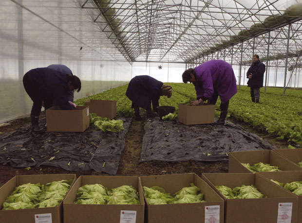 ПКБ и даље под капом Београда