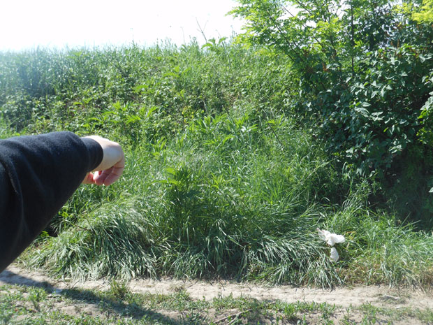 Мужа тукла до смрти, син јој помагао