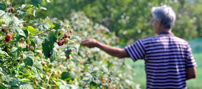 РС: Селима подељено седам милиона КМ