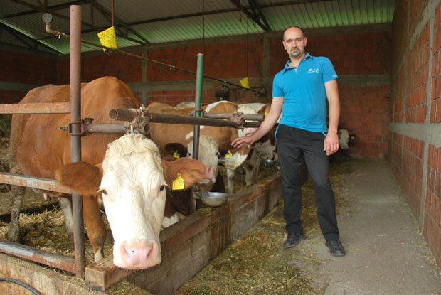 Тодоровићи опет одлазе по - пехар
