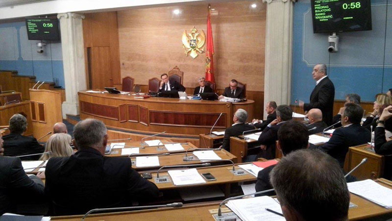 Мило посматрао из сенке?