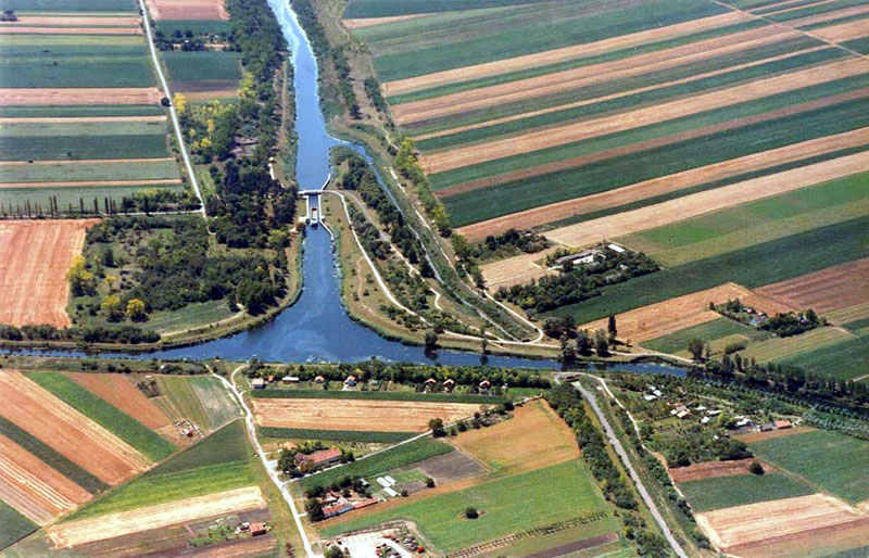 Војвођанске приче: Житница из мочваре никла