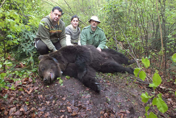 Дракче - краљ Таре
