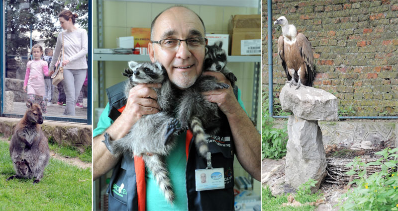 Зоо-врт пун беба