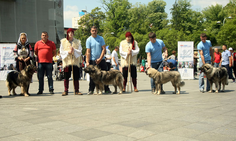 Ревијом улепшали рођендан
