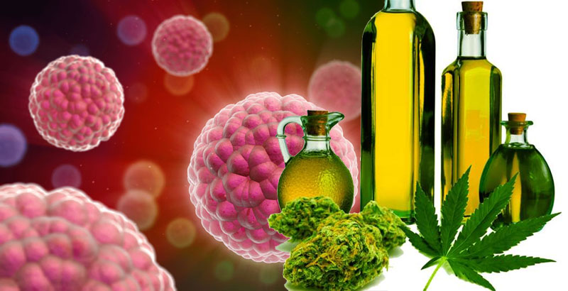 Др Басара: Чување матичних челија је бацање новца, као и уље канабиса