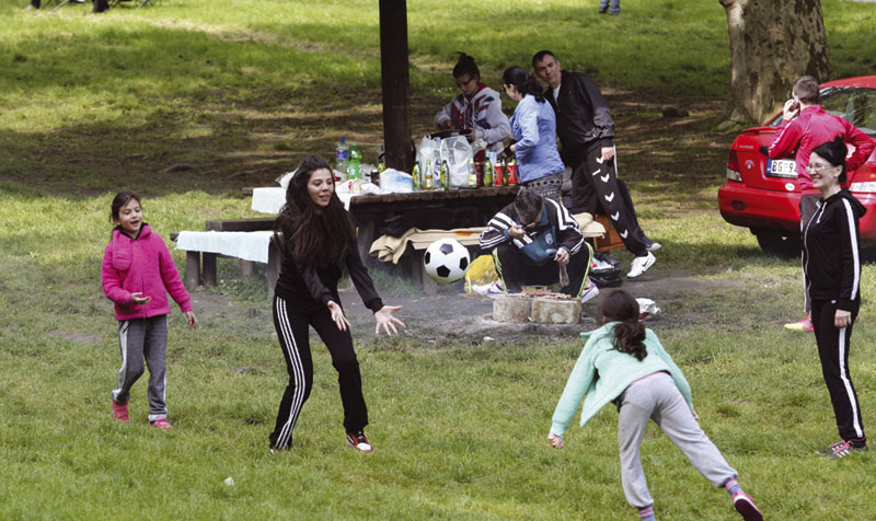 Крпеља највише на Авали и Кошутњаку