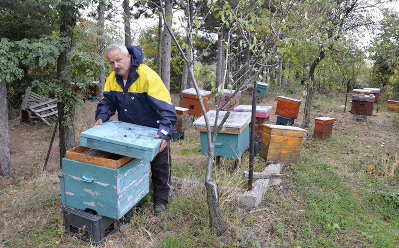 Мајски мраз појео мед
