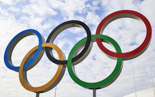 Стручна комисија испитује ризике вируса зика на ОИ у Рио де Жанеиру