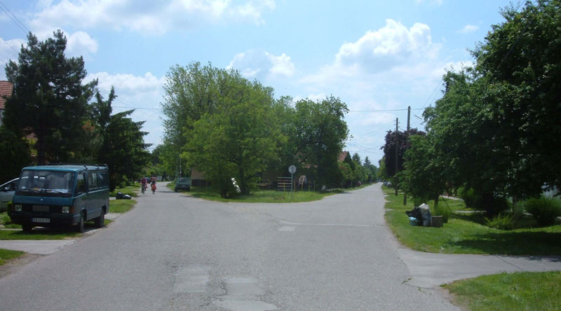 Лисице и шакали сишли у предграђе