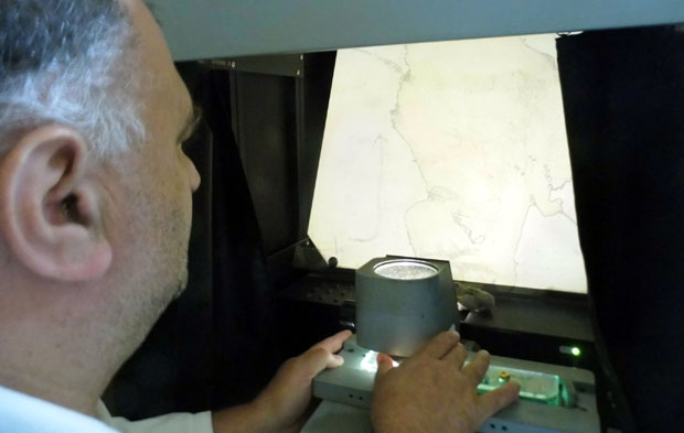 Откривена трихинелоза у месу свиње