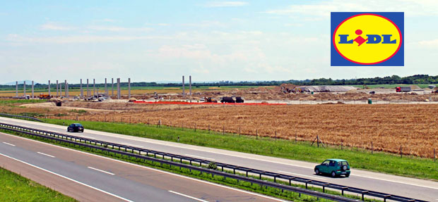 Лидл ниче из њиве
