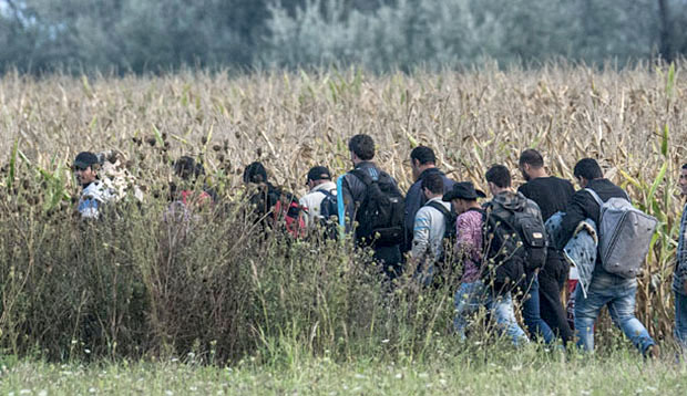 Турска граница: Патрола убила четворо деце