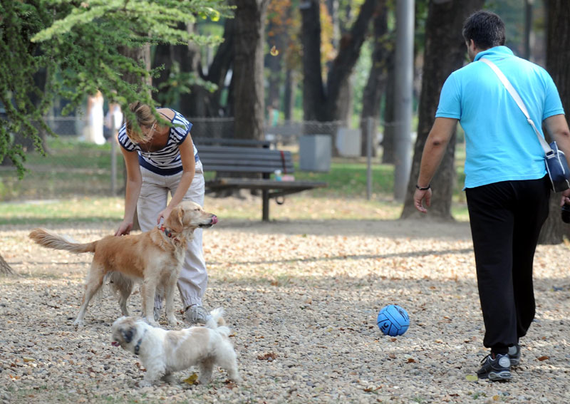 Дан у вртићу за љубимце 1.000 динара