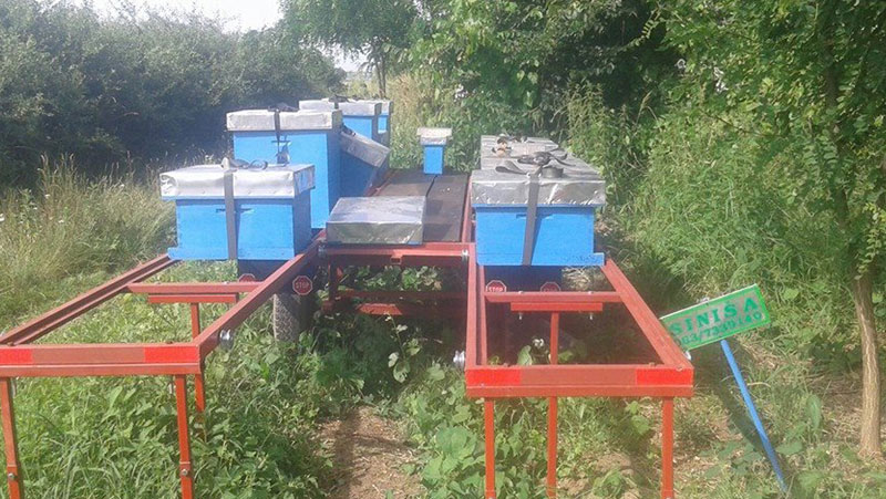 За ноћ остао без 12 кошница вредних 1.800 евра