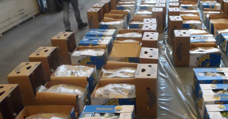 Румунија: Две тоне кокаина у сандуцима са бананама