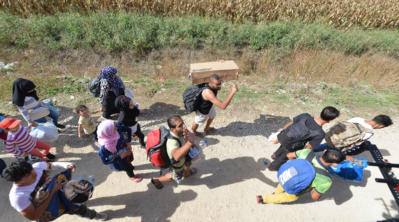 Показна вежба Хрватске код Батине