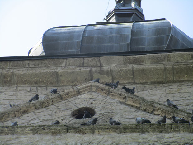 Бољковчани ковачи неслоге