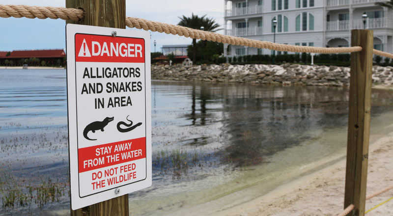 Отац дечака: Сина су ми убила два алигатора