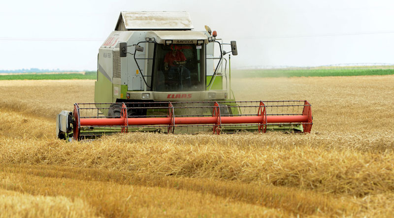 Косе род пљачкашима