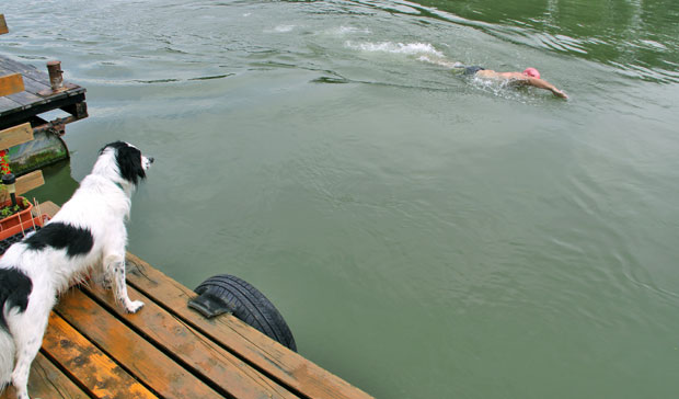 У недељу пливачки маратон на Ади Међици