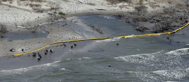 Нафтна мрља у Мексичком заливу изродила бактерију-убицу