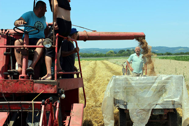 ССП ће потопити производњу у БиХ