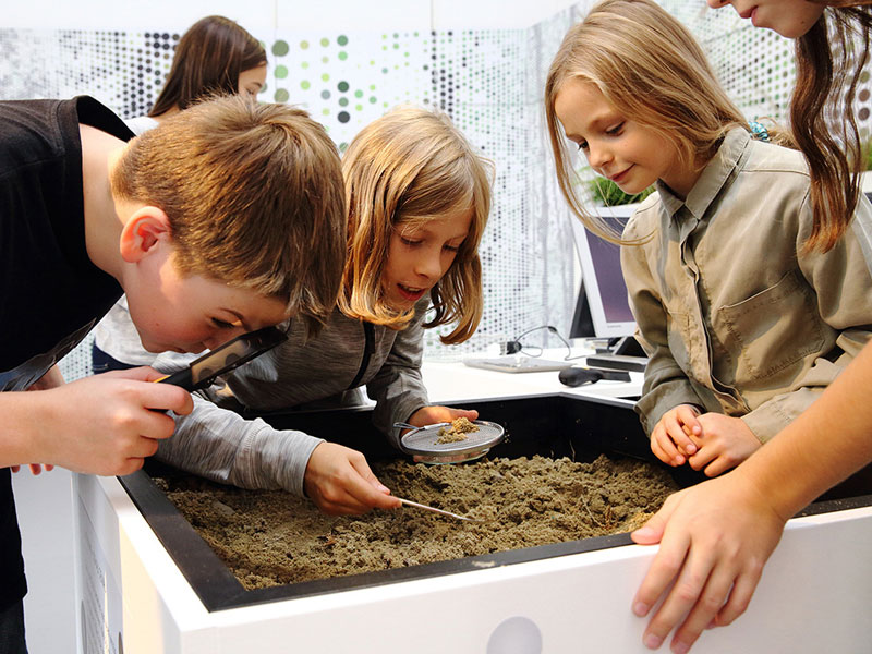 Беч је лети савршен за школарце 