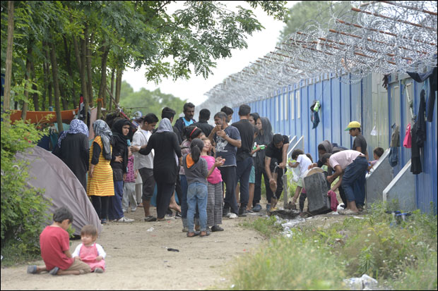 О мигрантима са амбасадорима