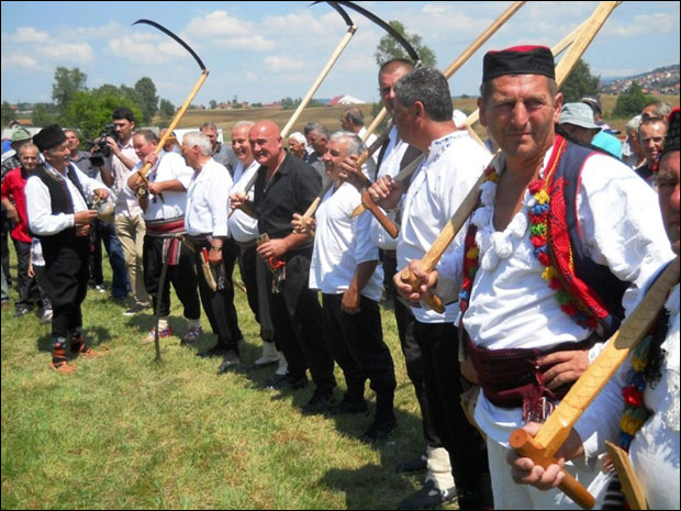 Траву косило 17 делија