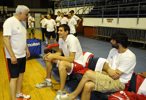 Николић о полемици око Марјановића: Нико није изнад тима