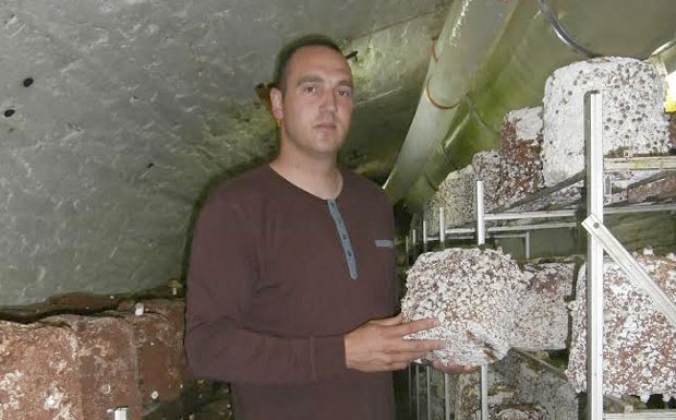 Узгаја печурке, плаћа студије