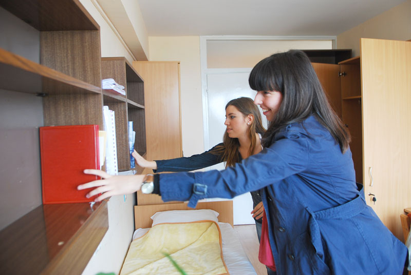 Све вуковце чека дом