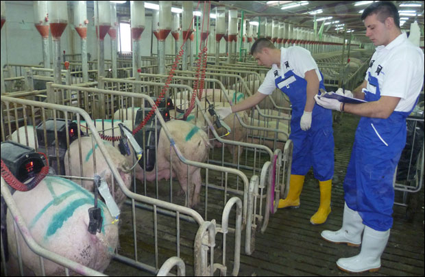 „Делта аграр”: За десет година престигли Данце