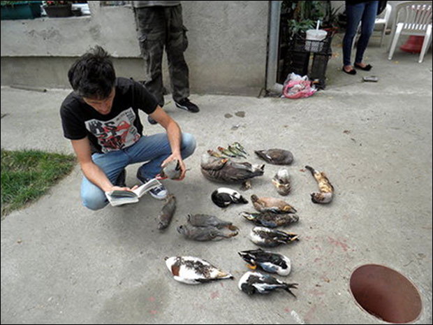 Ловочувар заштићене птице крио у замрзивачу