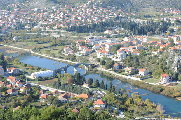 Спас од жеге у хладу платана
