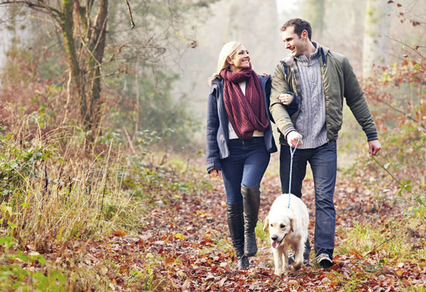 Шетња после оброка