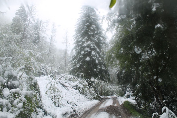 Завејана поједина села у околини Пирота, за сада без проблема са струјом