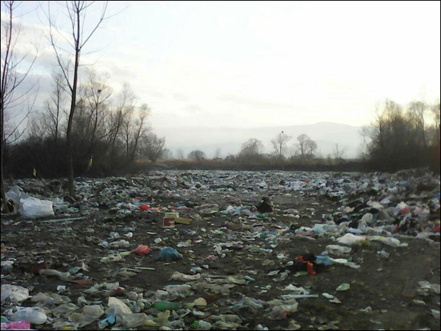 Истрага о баченој беби: Контејнери крију монструме