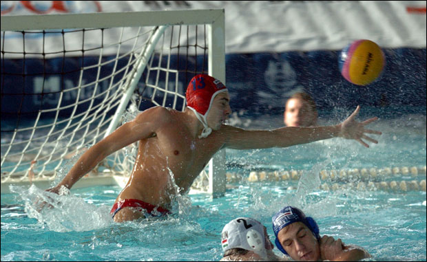 Младе снаге за нови тријумф старих Делфина